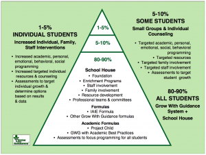 Individual Student Triangle